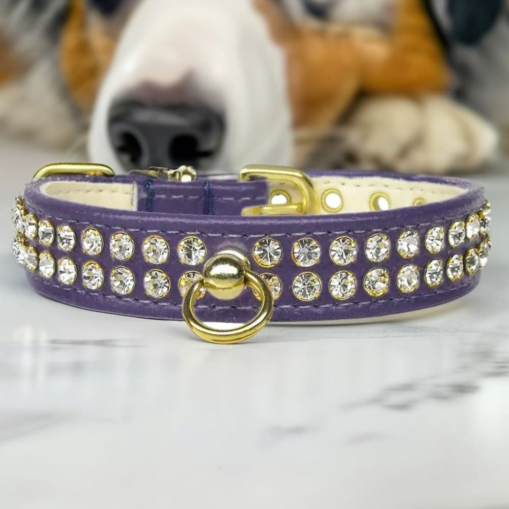 #72 Clear Crystal Jewelry Set Dog Collar - Dog Collars