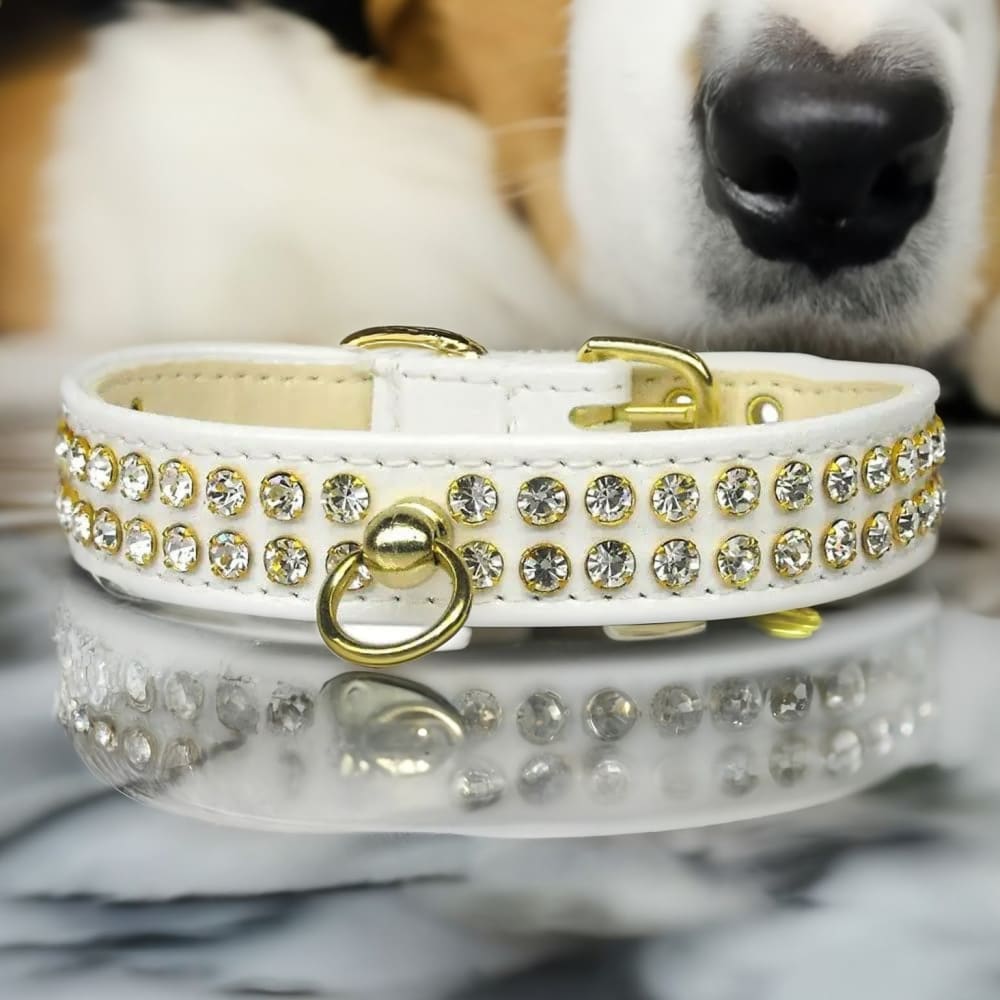 #72 Clear Crystal Jewelry Set Dog Collar - Dog Collars