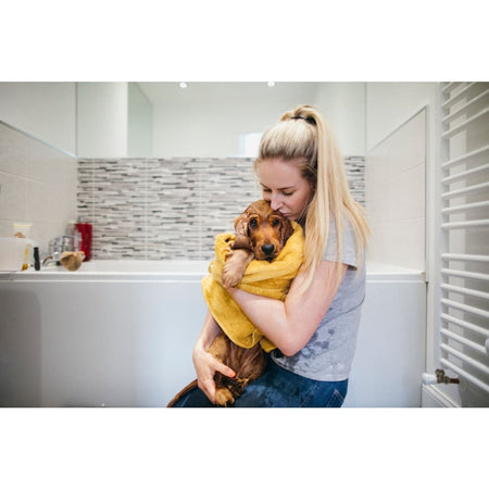 Ancol Tropical Fruit Dog Shampoo - Gentle Puppy Shampoo