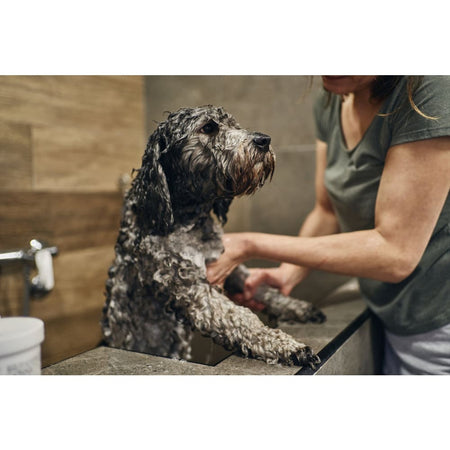 Ancol Juniper Dog Shampoo - SLS & Paraben Free Puppy
