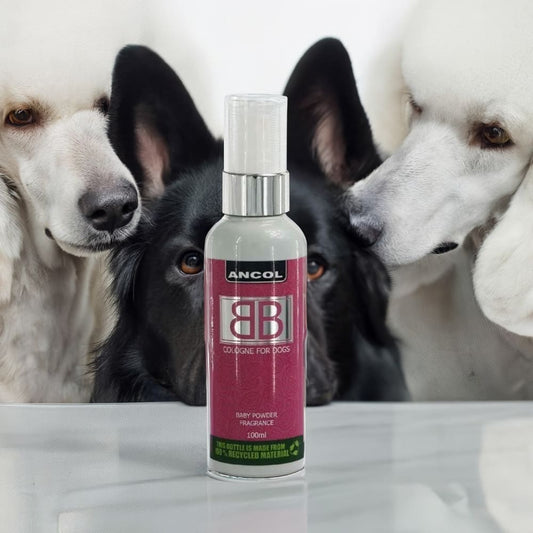 Ancol European Dog Cologne Baby Powder Scent - Essential
