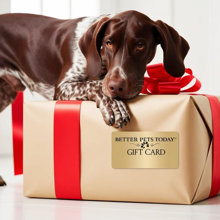 Better Pets Today Gift Card - Gift Card