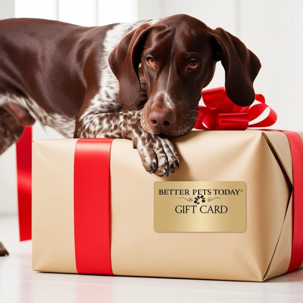 Better Pets Today Gift Card - Gift Card
