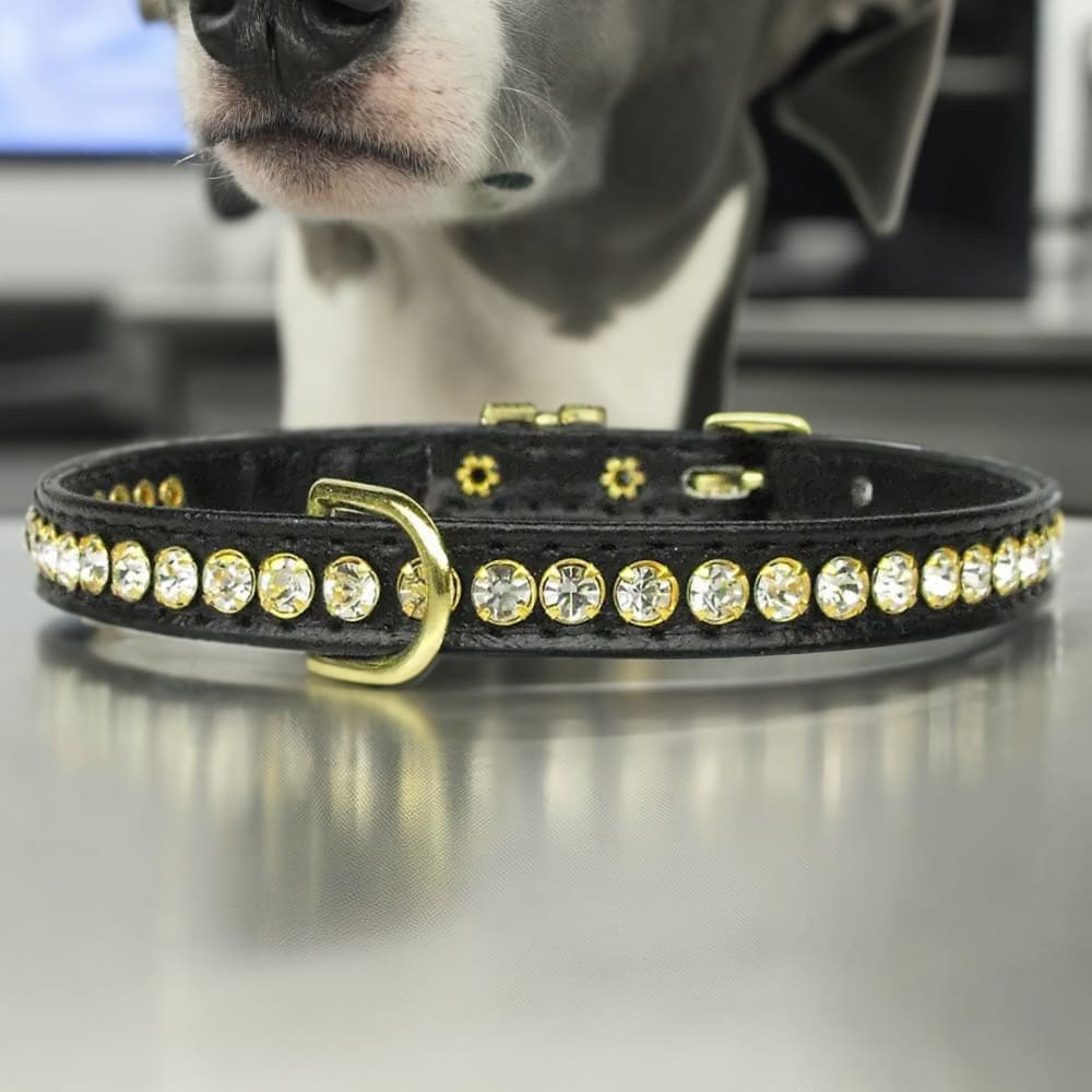 Beverly Clear Crystal Jewelry Set Dog Collar - Dog Collars