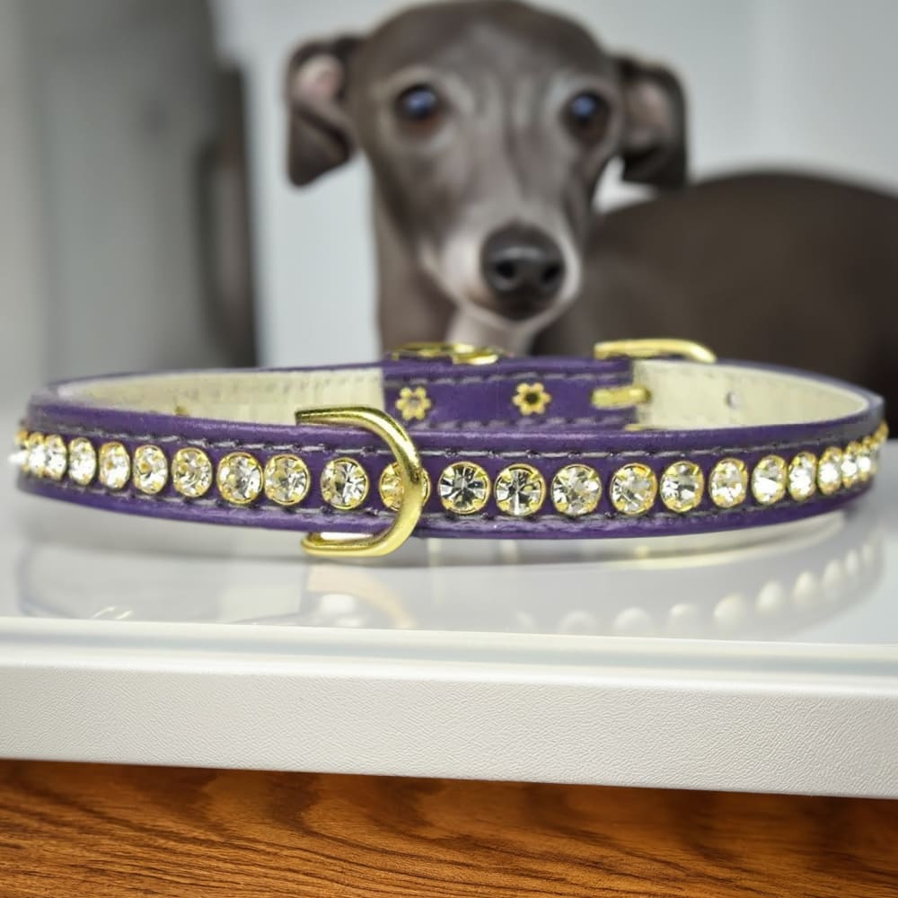 Beverly Clear Crystal Jewelry Set Dog Collar - Dog Collars