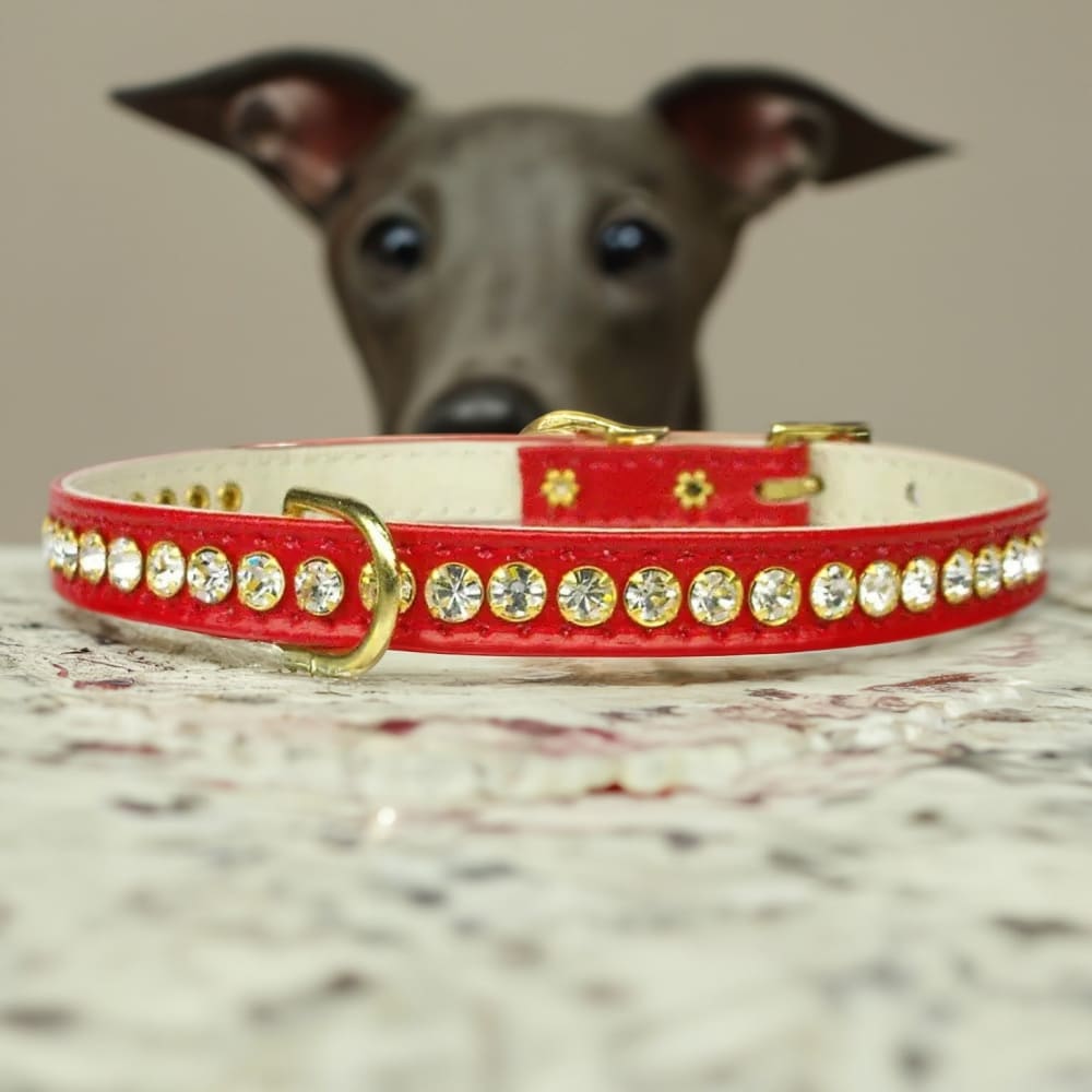 Beverly Clear Crystal Jewelry Set Dog Collar - Dog Collars