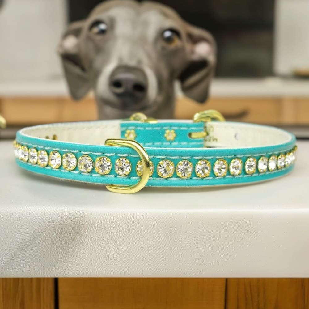 Beverly Clear Crystal Jewelry Set Dog Collar - Dog Collars