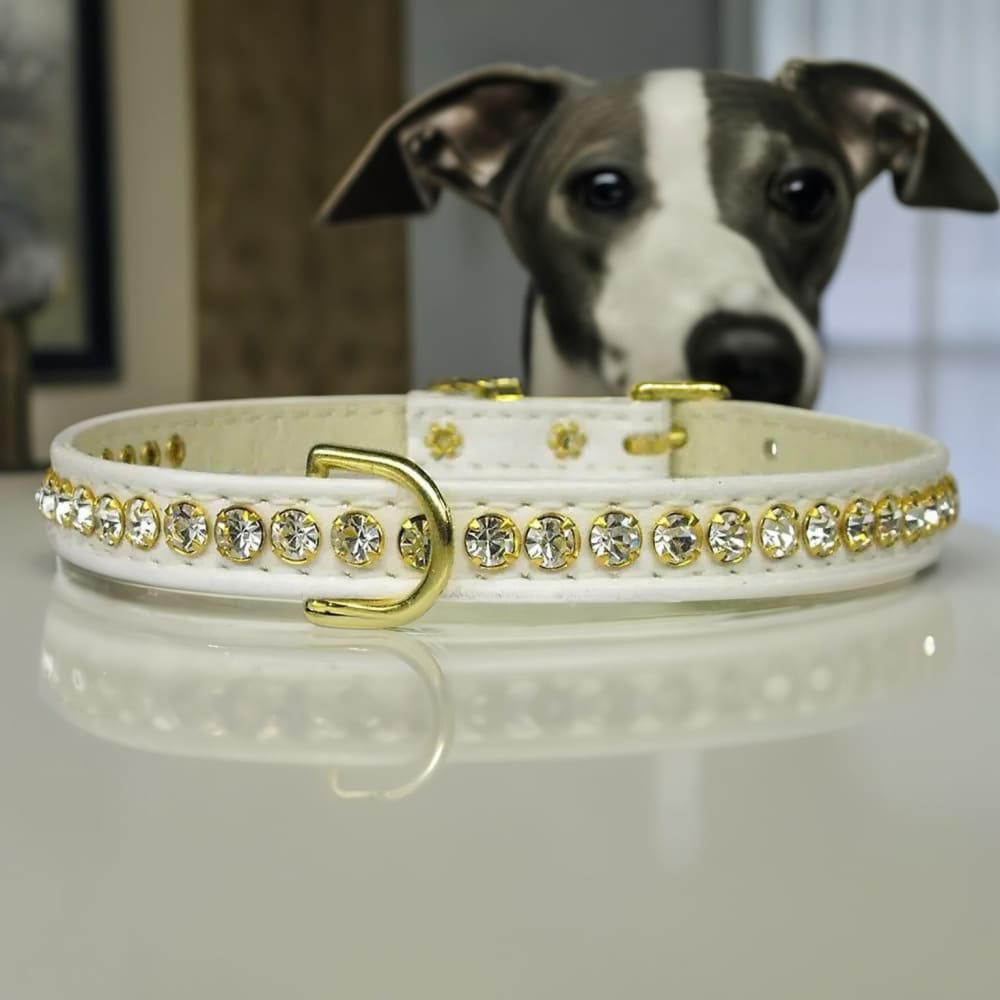 Beverly Clear Crystal Jewelry Set Dog Collar - Dog Collars