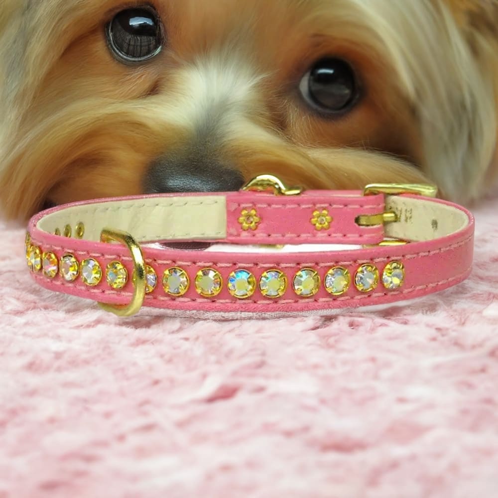 Beverly Dog Collar with Aurora Borealis Stones - Dog