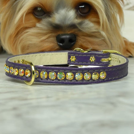 Beverly Dog Collar with Aurora Borealis Stones - Dog