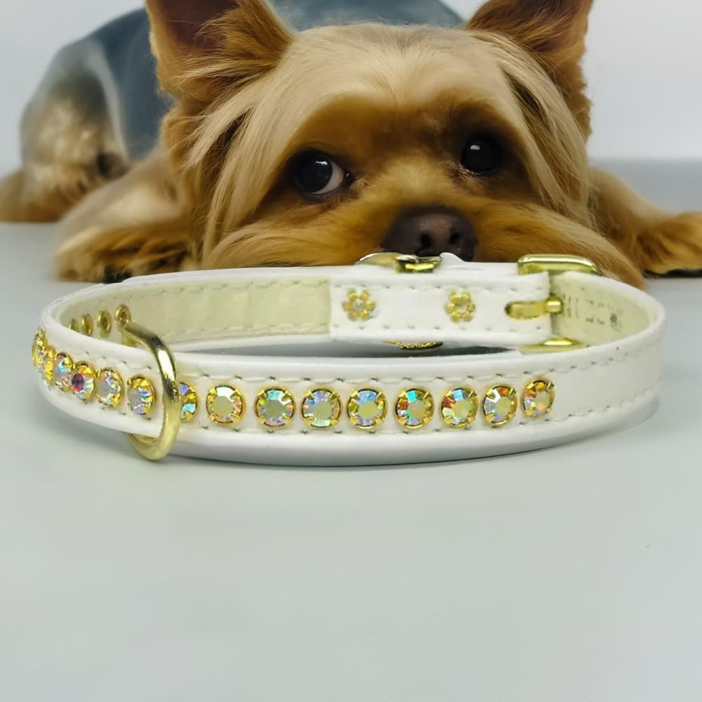 Beverly Dog Collar with Aurora Borealis Stones - Dog