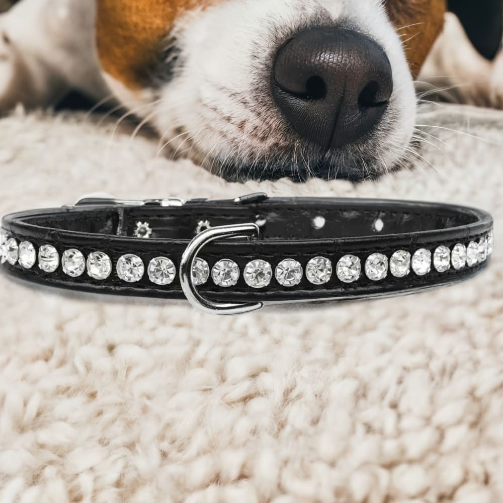 Beverly Style Rhinestone Designer Croc Dog Collar - Dog