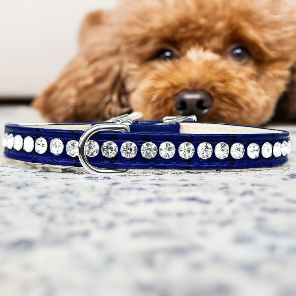 Beverly Style Rhinestone Designer Croc Dog Collar - Dog