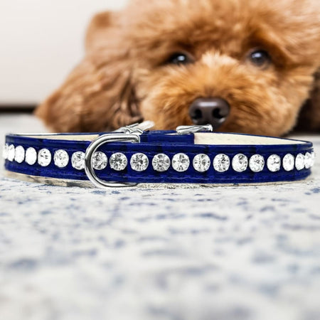 Beverly Style Rhinestone Designer Croc Dog Collar - Dog
