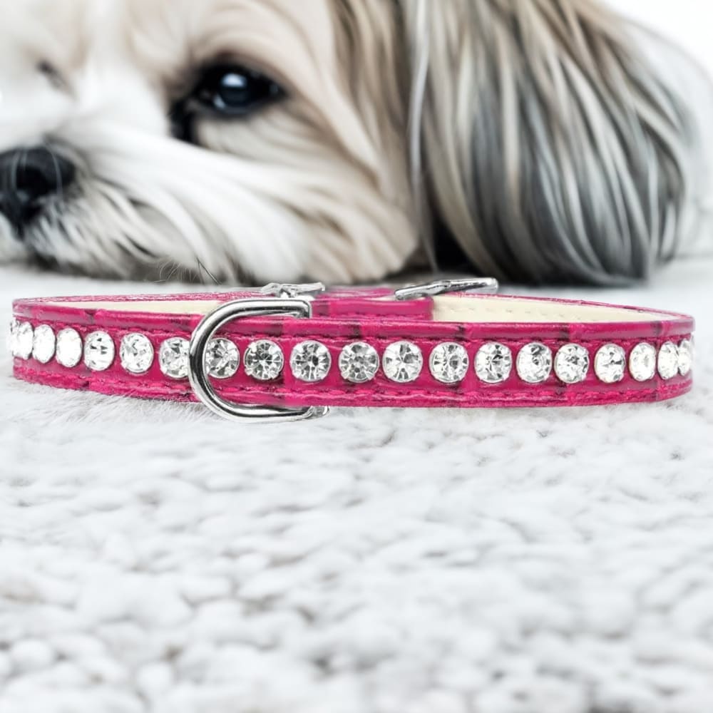 Beverly Style Rhinestone Designer Croc Dog Collar - Dog