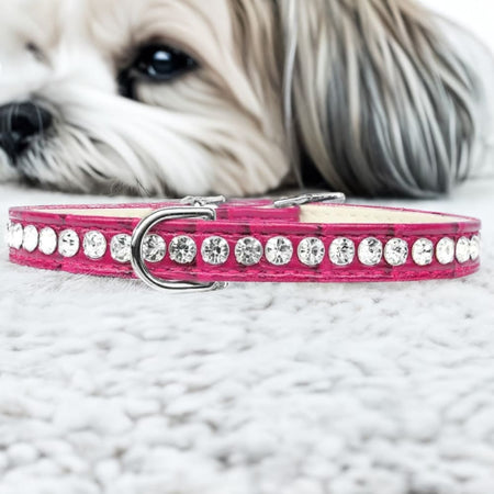 Beverly Style Rhinestone Designer Croc Dog Collar - Dog