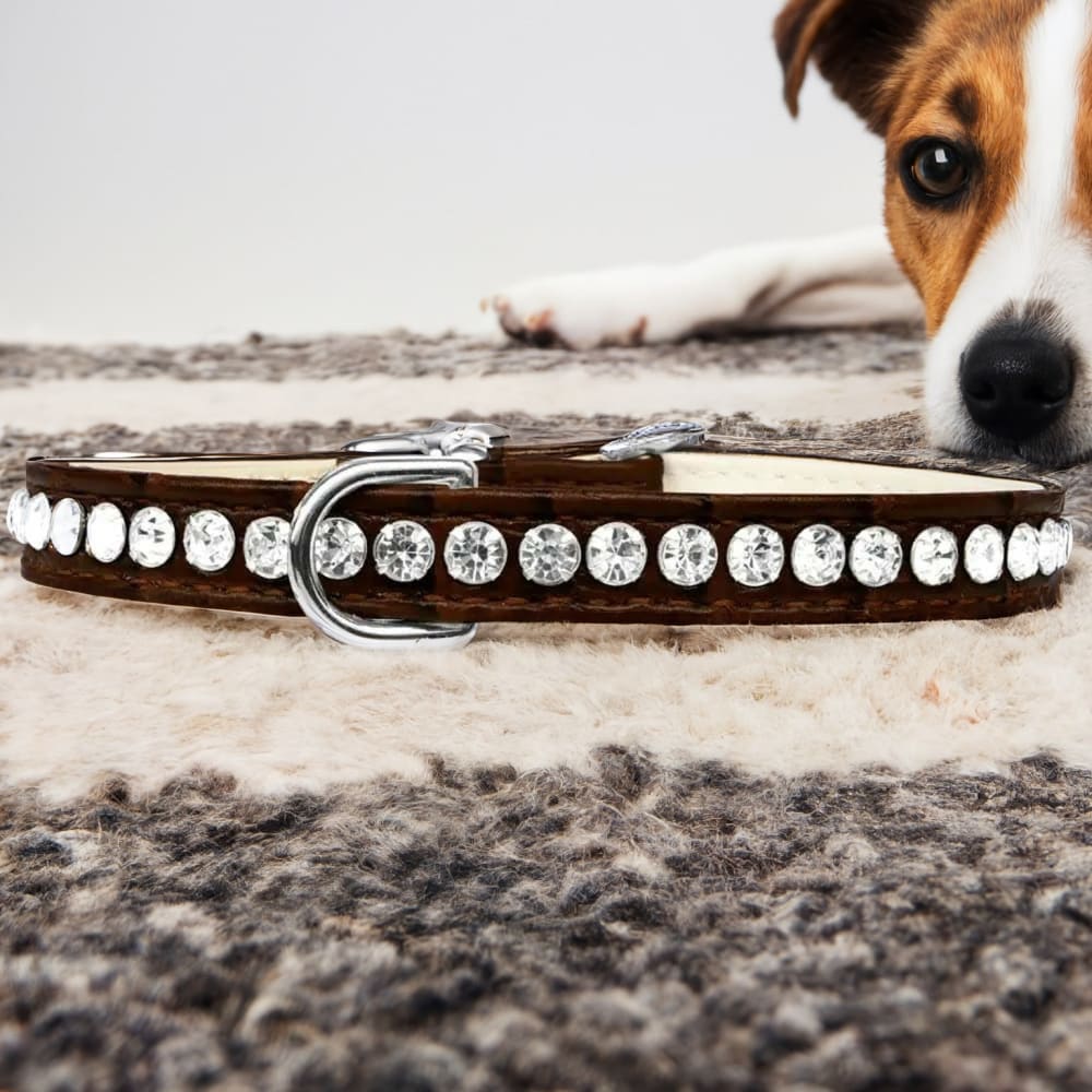 Beverly Style Rhinestone Designer Croc Dog Collar - Dog