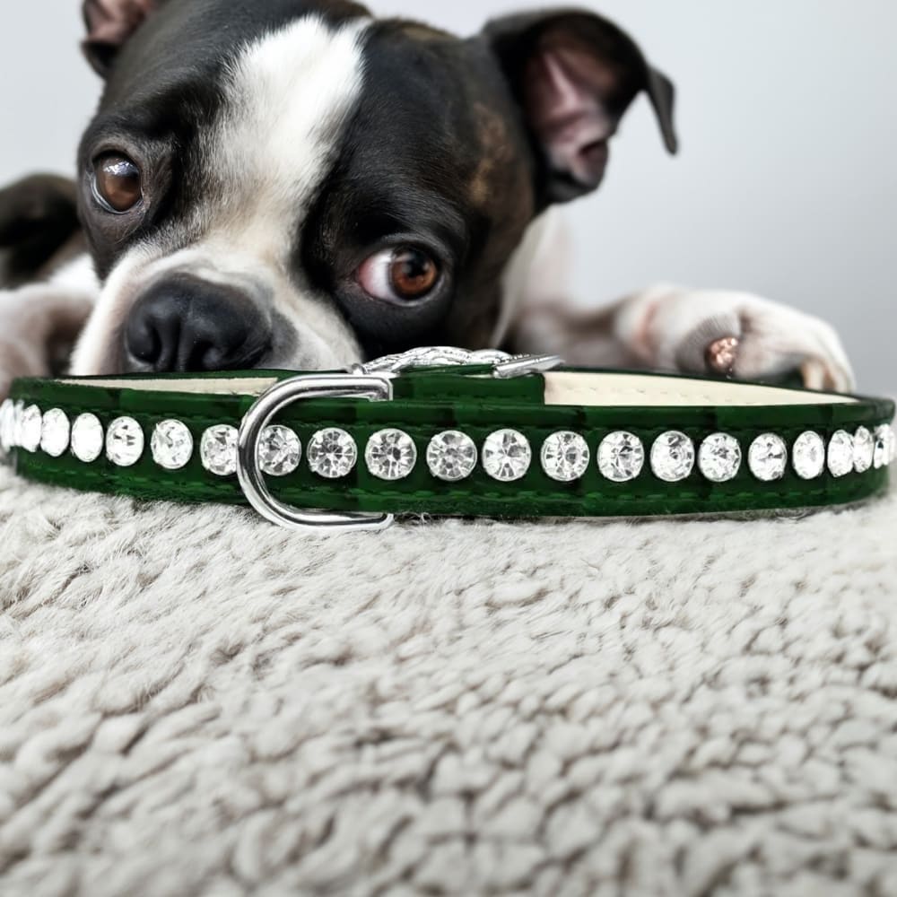 Beverly Style Rhinestone Designer Croc Dog Collar - Dog