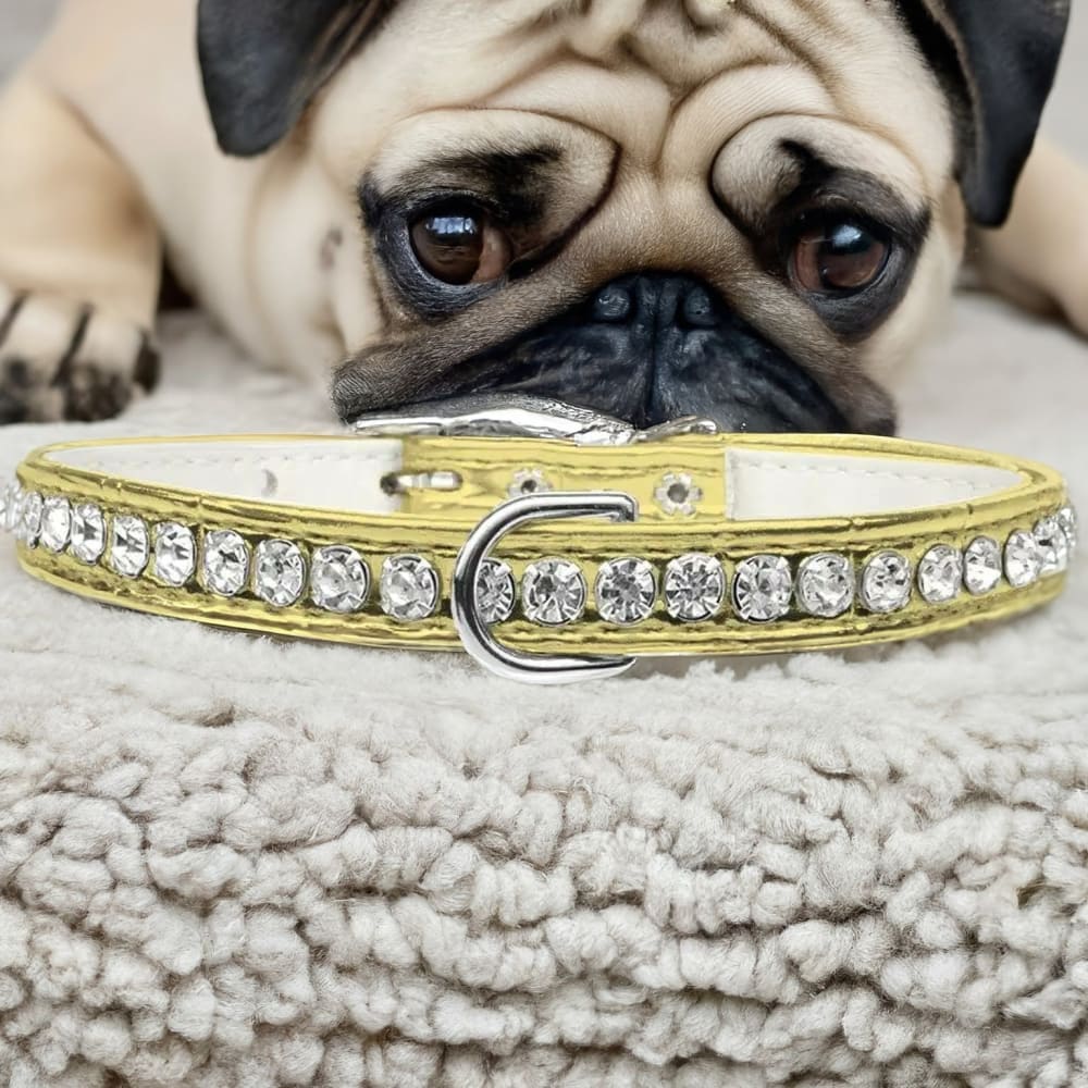 Beverly Style Rhinestone Designer Croc Dog Collar - Dog