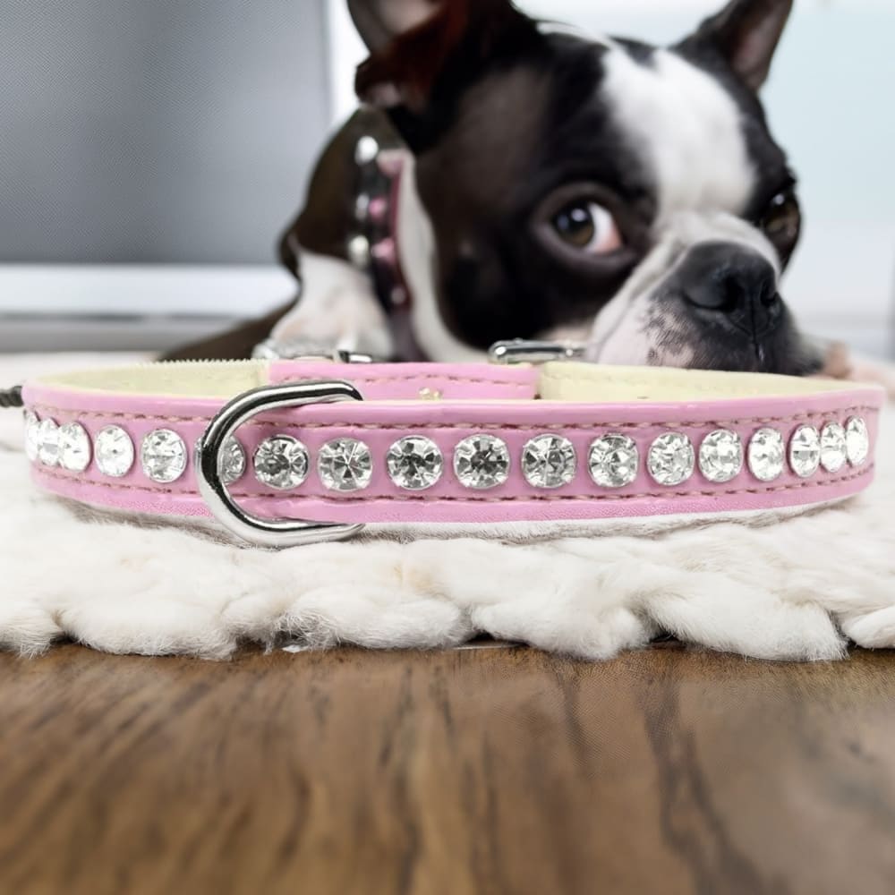 Beverly Style Rhinestone Designer Croc Dog Collar - Dog