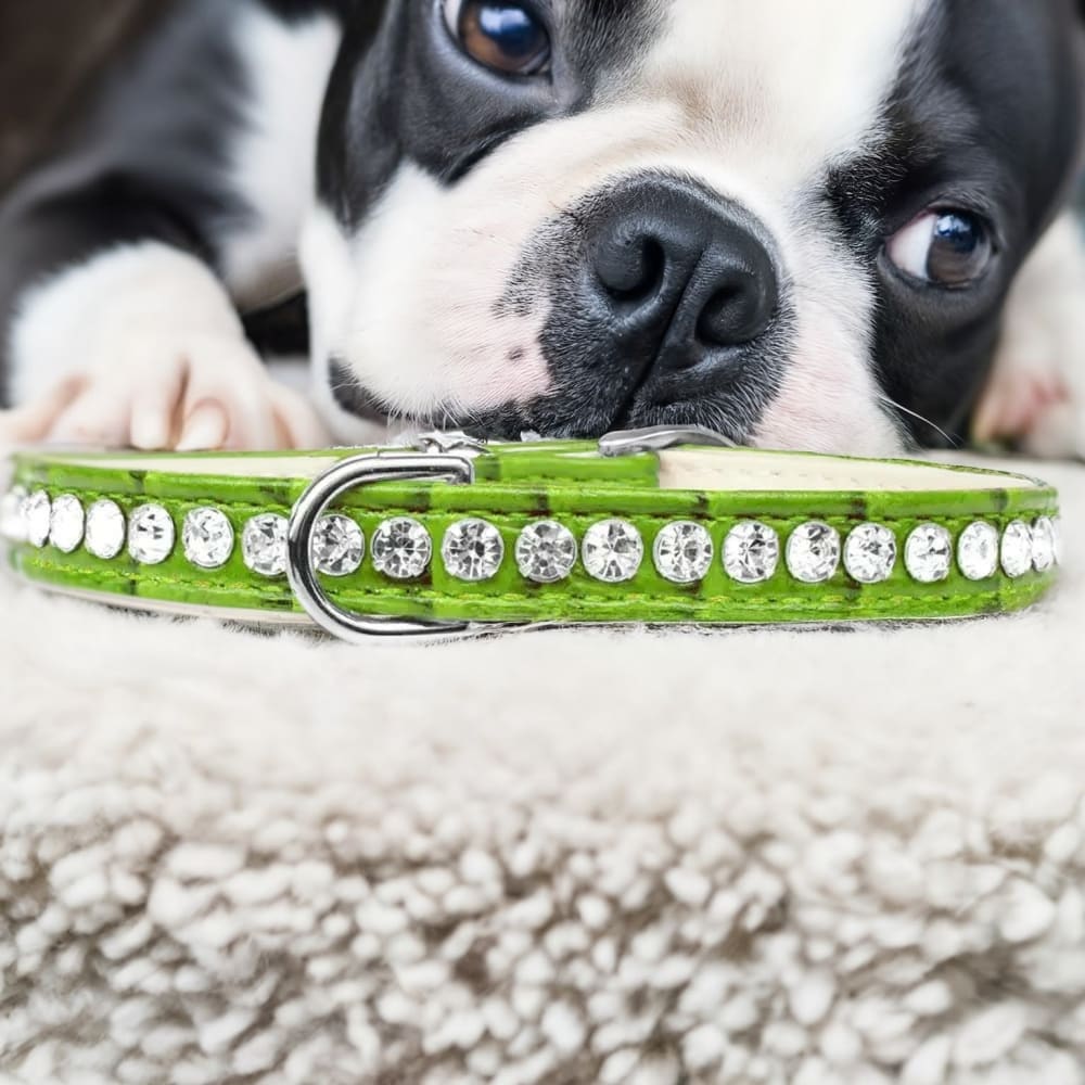 Beverly Style Rhinestone Designer Croc Dog Collar - Dog