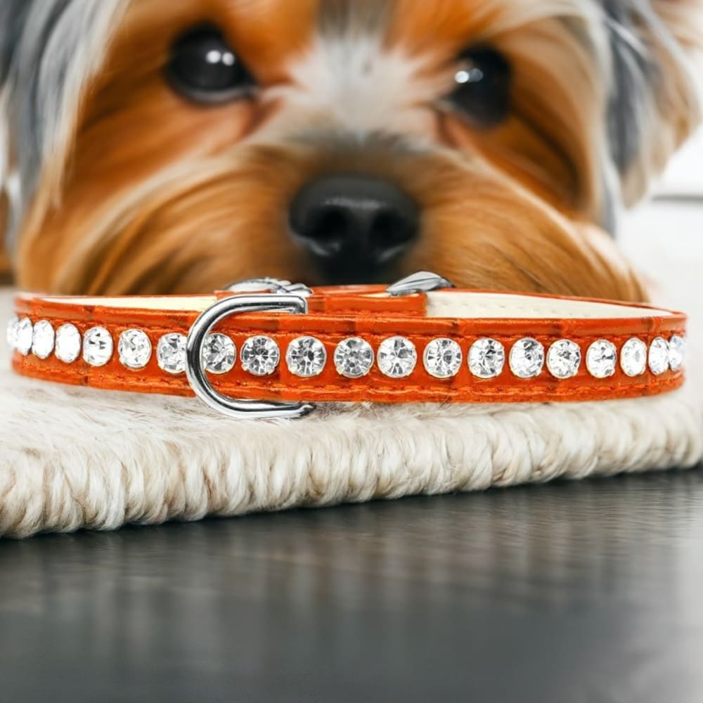 Beverly Style Rhinestone Designer Croc Dog Collar - Dog