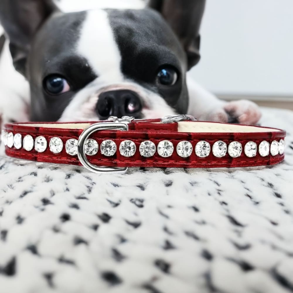 Beverly Style Rhinestone Designer Croc Dog Collar - Dog