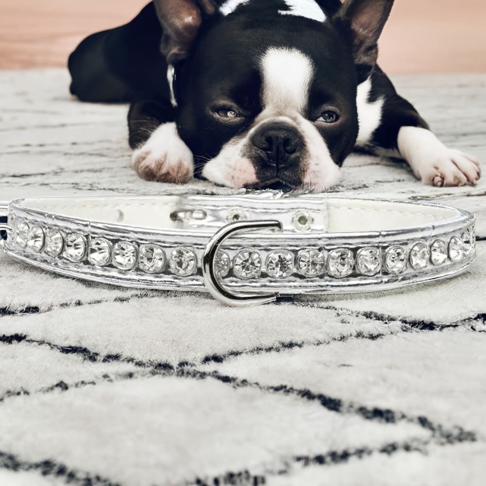 Beverly Style Rhinestone Designer Croc Dog Collar - Dog