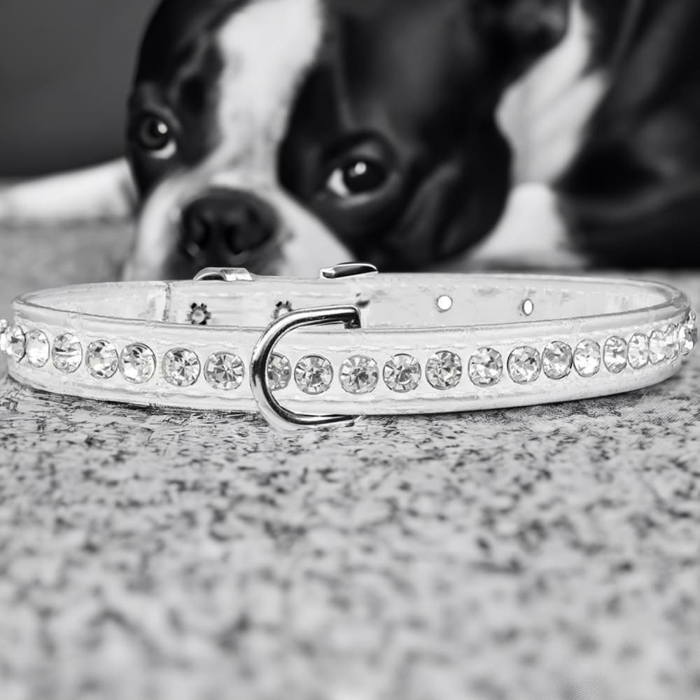 Beverly Style Rhinestone Designer Croc Dog Collar - Dog
