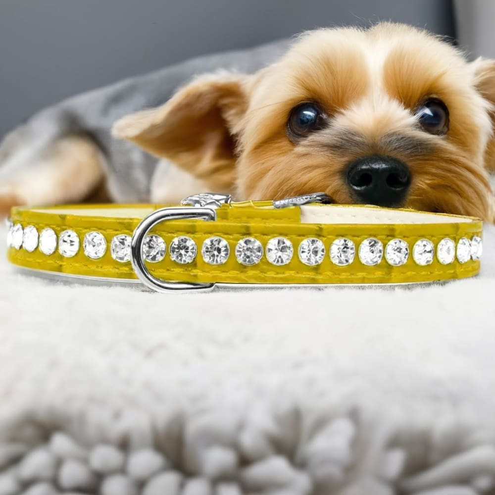 Beverly Style Rhinestone Designer Croc Dog Collar - Dog