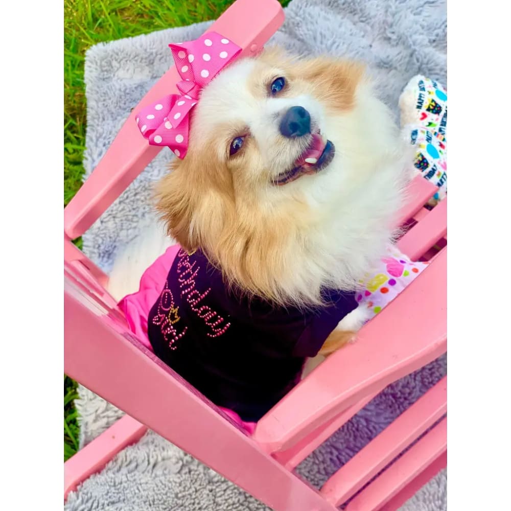 Birthday Girl Rhinestone Dog Dress - Pet Dress
