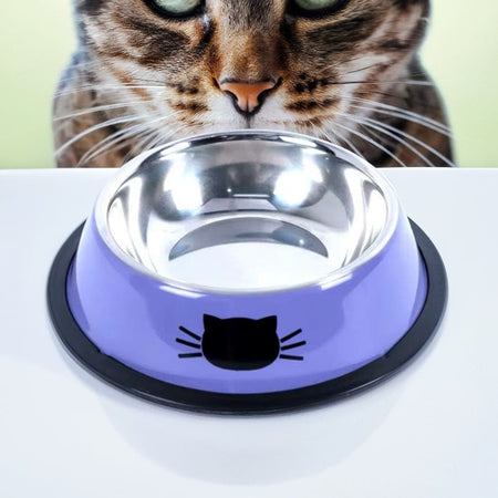 Cat Bowl Stainless Steel - Slip Resistant - Cat Stainless