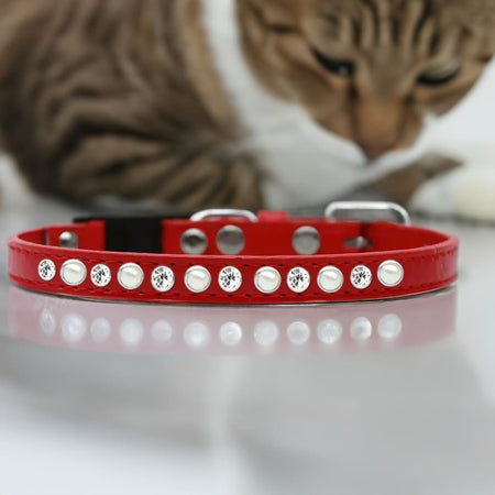 Clear Jewel Breakaway Cat Safety Collar - Cat Collars