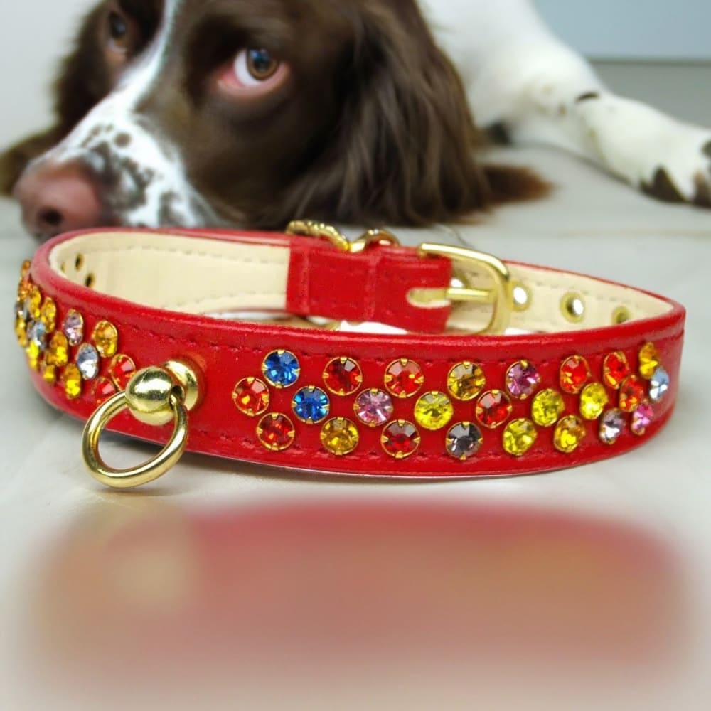Confetti Dog Collar - Dog Collars - Jeweled