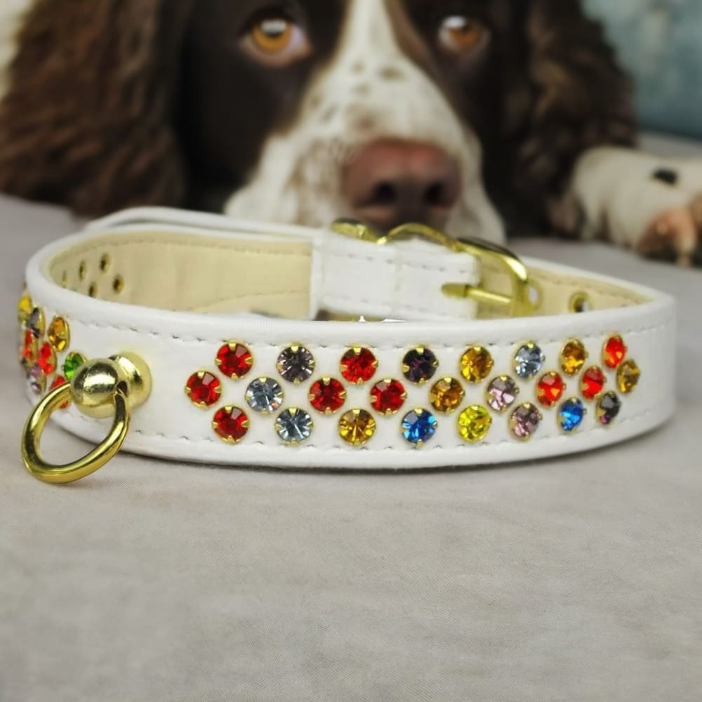 Confetti Dog Collar - Dog Collars - Jeweled