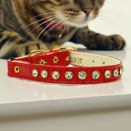 Crystal Cat Safety Collar - Cat Collars - Premium