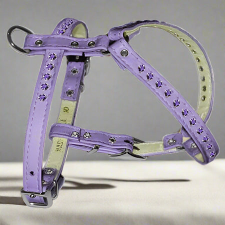 Crystal Comfort Dog Harness & Optional Leashes - Dog