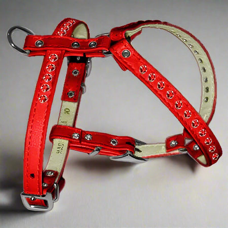 Crystal Comfort Dog Harness & Optional Leashes - Dog