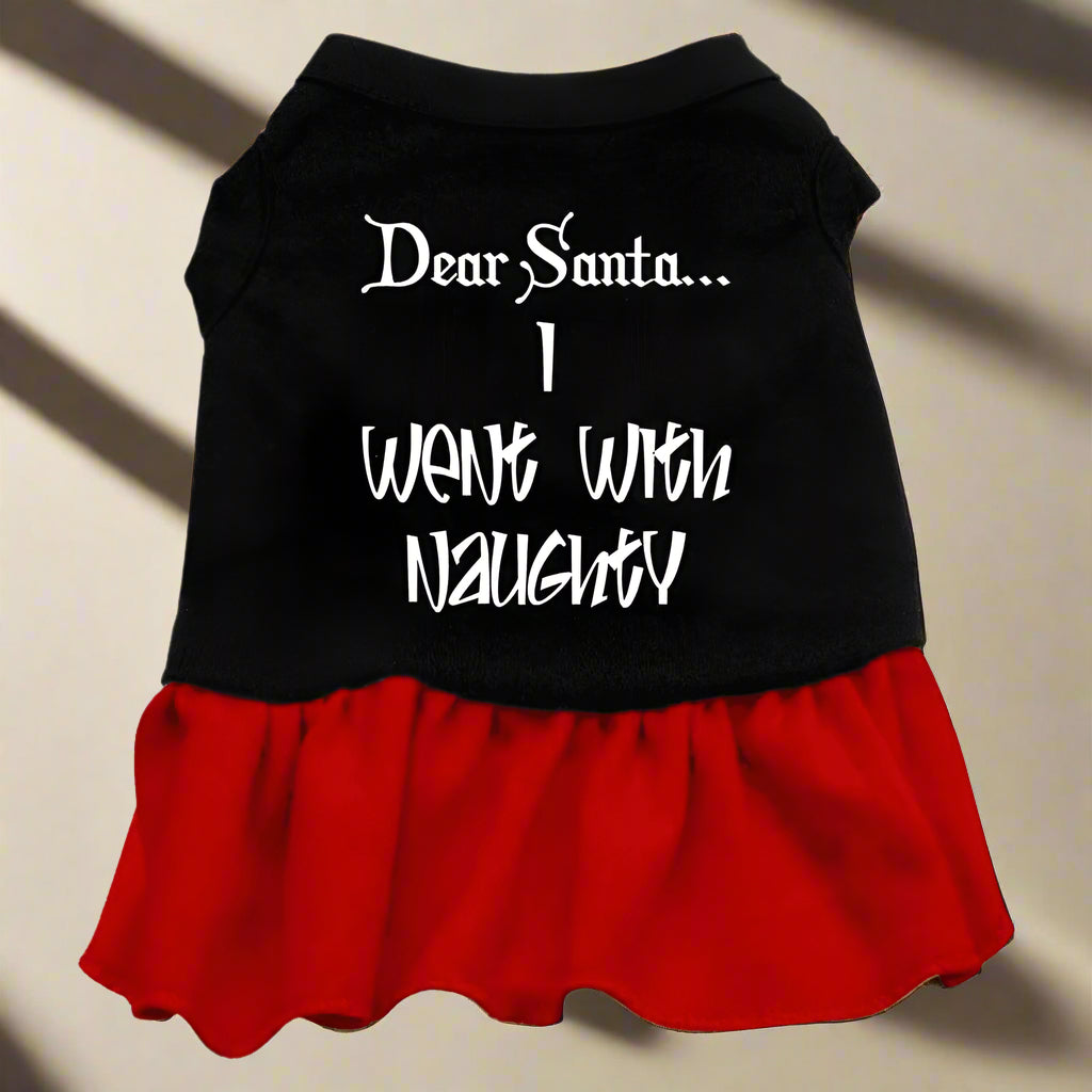 Dear Santa I Went with Naughty Screen Print Pet Dress - 3-6