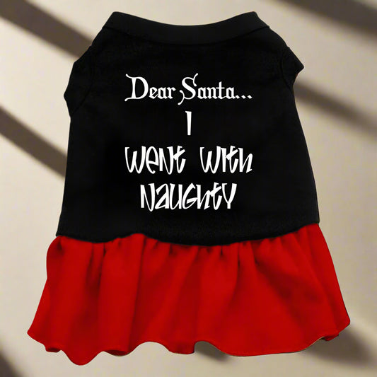 Dear Santa I Went with Naughty Screen Print Pet Dress - 3-6