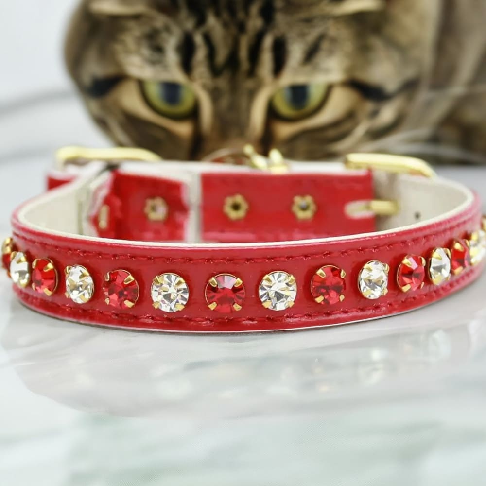 Deluxe Cat Safety Collar - Cat Collars - Premium
