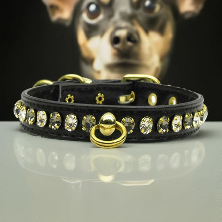 Deluxe Colored Crystal Jewelry Set Dog Collar - Dog Collars