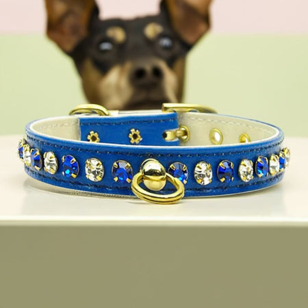 Deluxe Colored Crystal Jewelry Set Dog Collar - Dog Collars