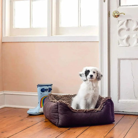 DGS Pet Products Dirty Dog Lounger Bed - Pet Lounger Bed