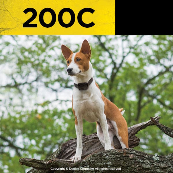 Dogtra 200C Remote Dog Training Collar - Dog Training