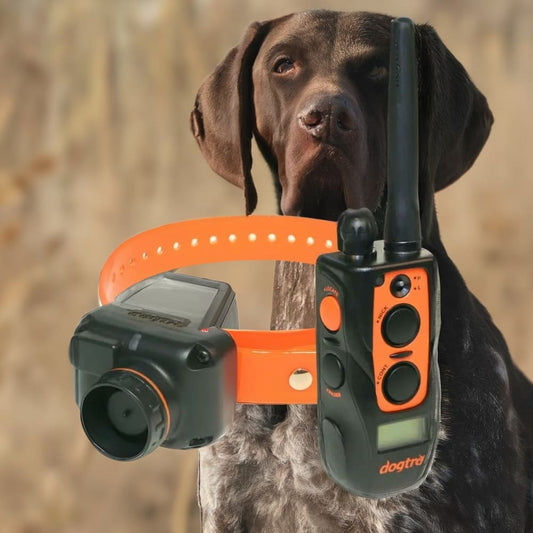 Dogtra 2700T&B Training & Beeper Collar - Dog Training