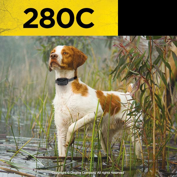 Dogtra 280C Remote Training Collar - Dog Training Collars