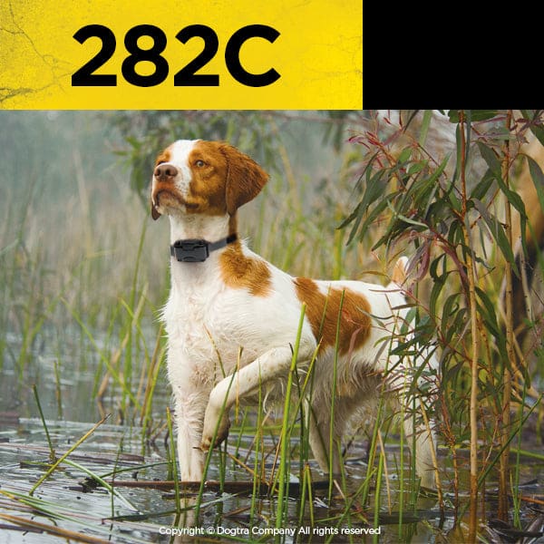 Dogtra 282C Two Dog Remote Training Collar - Dog Training