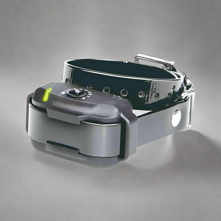 Dogtra In-Ground Dog Fence Collar - Underground