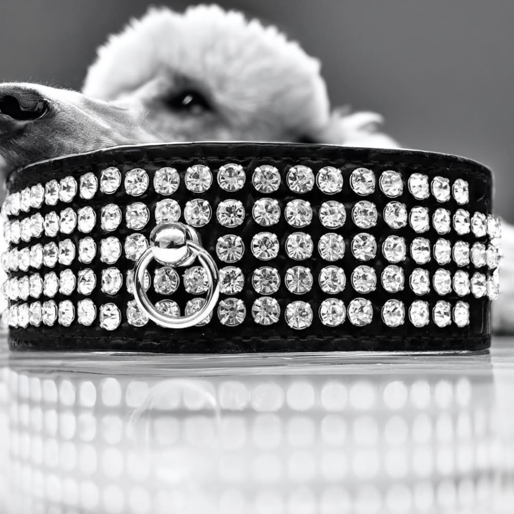 Five Row Clear Crystal Designer Croc Dog Collar - Dog